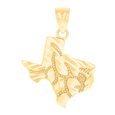 10kt Yellow Gold Unisex Nugget Texas Map Charm Pendant